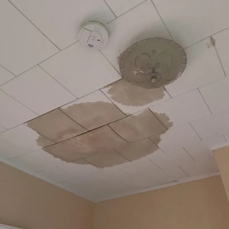 Ceiling Water Damage Repair in Oilton, OK