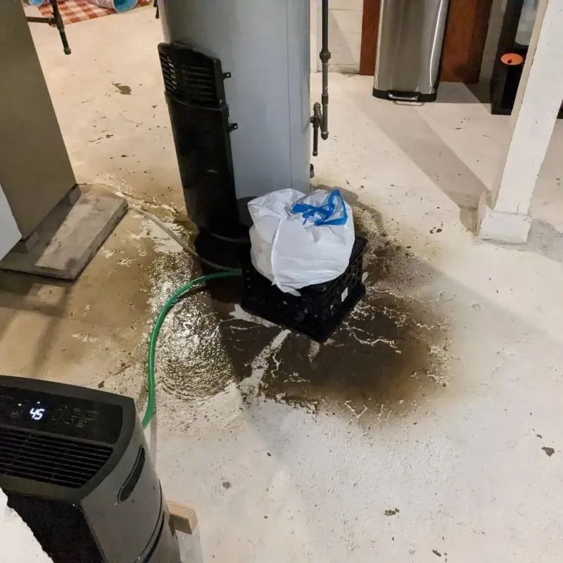 Sewage Backup Cleanup Service in Oilton, OK